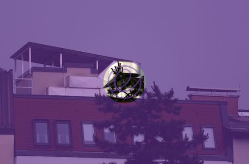 EndeavourPurpleThrough.jpg