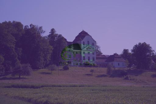 TekheletThrough.jpg