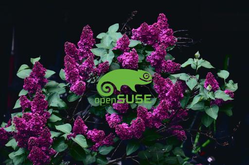 MintGreenOverlay.jpg
