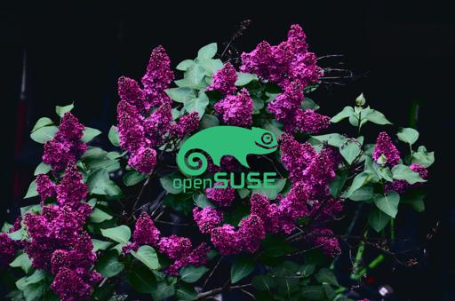 SuseGreenOverlay.jpg