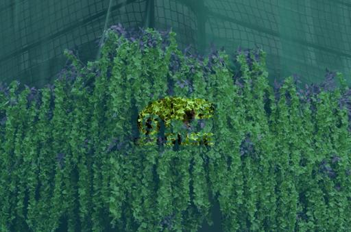 MidnightGreenThrough.jpg