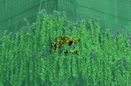 SuseGreenThrough.jpg