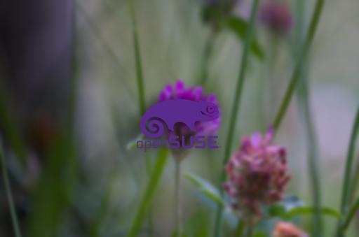 TekheletOverlayBlur.jpg