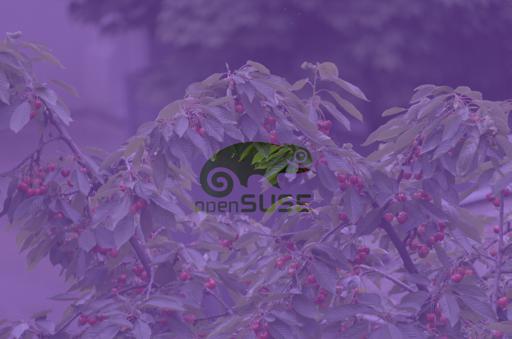 AmethystThrough.jpg