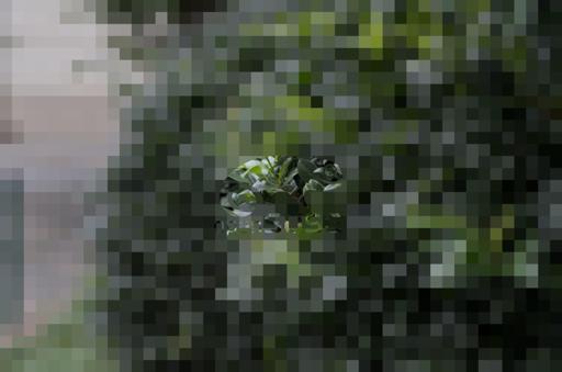 Pixelate.jpg